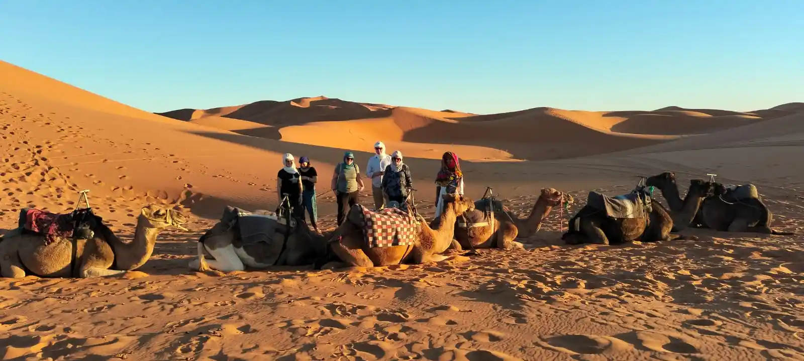 8 Days Trip From Fes To Marrakech Via Sahara, Camel Ride